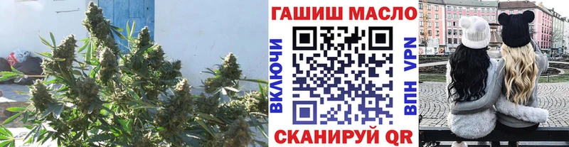 что такое   Пустошка  ТГК концентрат 