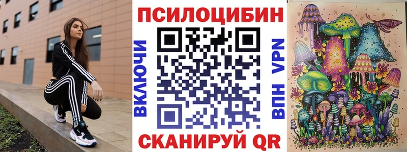 хочу наркоту  Пустошка  Галлюциногенные грибы Psilocybe 